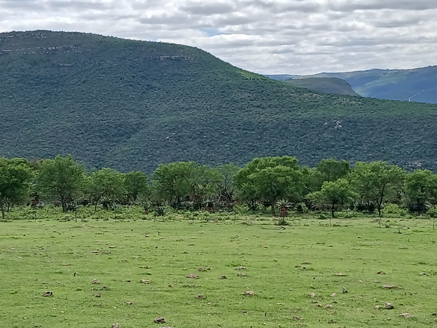 0 Bedroom Property for Sale in Stutterheim Rural Eastern Cape